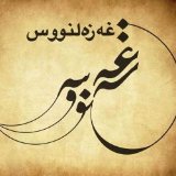Xazalnus Bookstore on Instagram